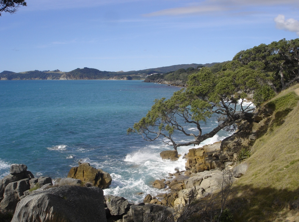 Stay at the Country Homestead at Black Sheep Farm and experience the stunning Waipu Cove Coastal walk with dramatic views