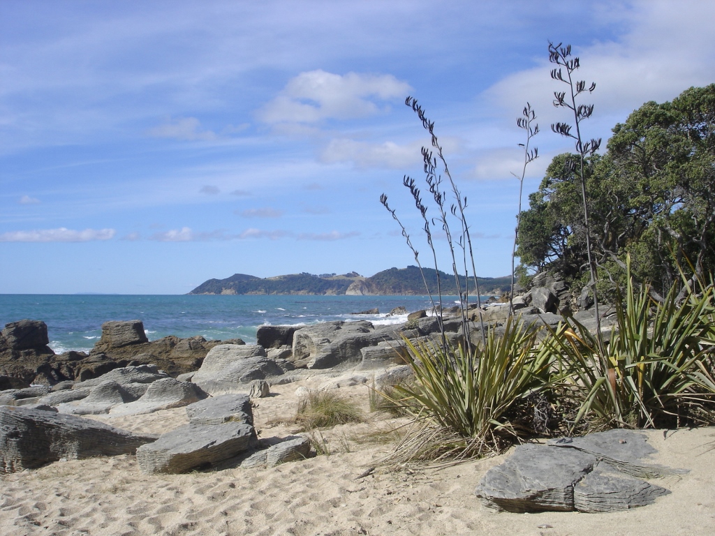 Stay at the Country Homestead at Black Sheep Farm and experience the stunning Waipu Cove Coastal walk with secluded private beaches